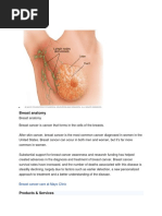 Breast Anatomy: Breast Cancer Care at Mayo Clinic