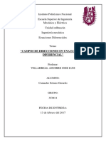 Campos Direccionales en Una Ecuación Diferencial