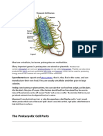 Animal and Plant Cell Parts