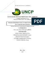 Informe P.semiquímico