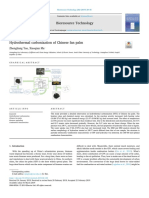 Carbonizacion Hidrotermal de Abanico Chino