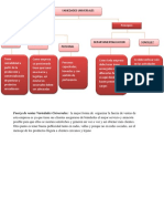 Entrega 7 Semana Mapa Conceptual y Estructura Organizacional