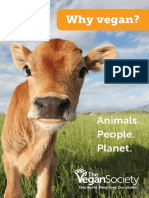 Why Vegan Plain PDF