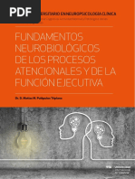 Fundamentos Neurobiologicos