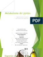 Metabolismo Lípidos