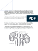 Anatomy and Physiology-KIDNEYS