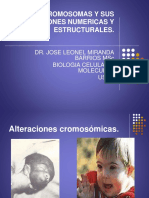 Cromosomas y Sus Alteraciones Numericas y Estructurales