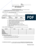 Cell Anatomy Worksheet