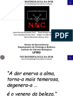 Dor PDF