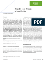 Ubiquitination Code