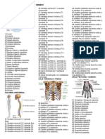 Nombre de Los Huesos Del Cuerpo Humano