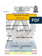 Informe de Mohos 2018