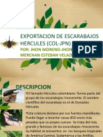 Exportacion de Escarabajos