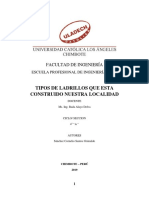 Tipos de Ladrillos de Nuestra Localidad - Sanchez