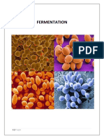 Yeast Fermentation: Investigatory Project Class 12