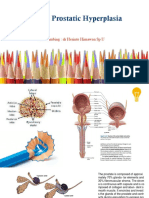 Benign Prostatic Hyperplasia: Pembimbing: DR Herinto Himawan Sp.U