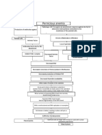 Pernicious Anemia Pathophysiology