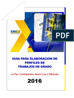 Nuevo Formato Perfil-Emi PDF