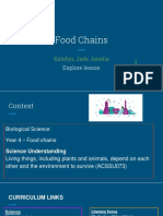 Food Chains