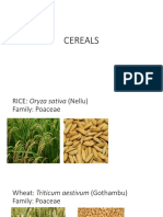 Cereals and Millets