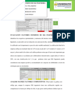 Informe de Analisi Externo de XXX Empresa