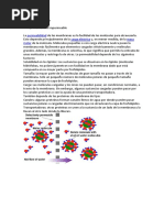 Tipos de Membrana