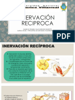 Inervacion Reciproca