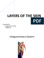 Layers of The Skin