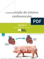 Constituição Do Sistema Cardiovascular