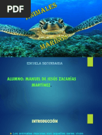 Animales Marinos