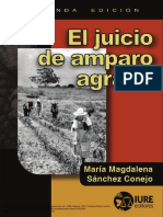 Amparo Agrario 2a. Ed PDF