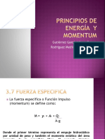 Principios de Energia y Momentum Hidraulica II