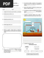 Evaluación Respiración y Nutrición