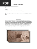 Informe-01-Tunel-De-Palpa Trillo