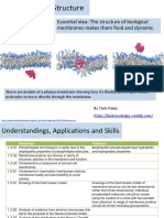 1.3 Membrane Structure: Essential Idea: The Structure of Biological Membranes Makes Them Fluid and Dynamic