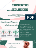 Procedimientos Ginecológicos PDF