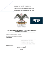 Caudal y Cedula de Cultivo de Tipon Final