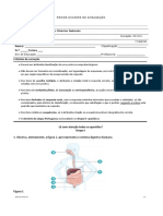 IDJV-Ficha Avaliação 6.ºanoa, B e C T2 - R00 - Novembro2017-Ana Mesquita