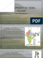 Development of Tribal Village 2