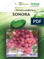 Agenda Técnica Sonora OK PDF