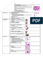 MHD Exam 6 Material