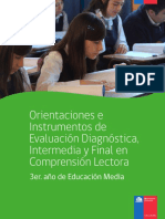 Eval - Diagnóstica - 3ro - Medio (CL) PDF