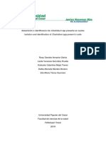 Guia de Laboratorio Aislamiento e Identificacion de Clostridium SPP