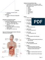 Digestive System