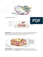 II. (5) Organ System in Our Body