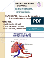 Histología de Corazón y Vasos