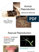 Animal Reproduction: Sexual & Asexual