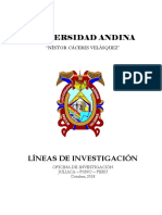 Lineas de Investigación PDF