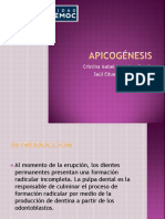 Apicogénesis Seminario 2