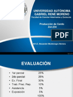 Universidad Autónoma Gabriel René Moreno: Producción de Cerdo Zot-234